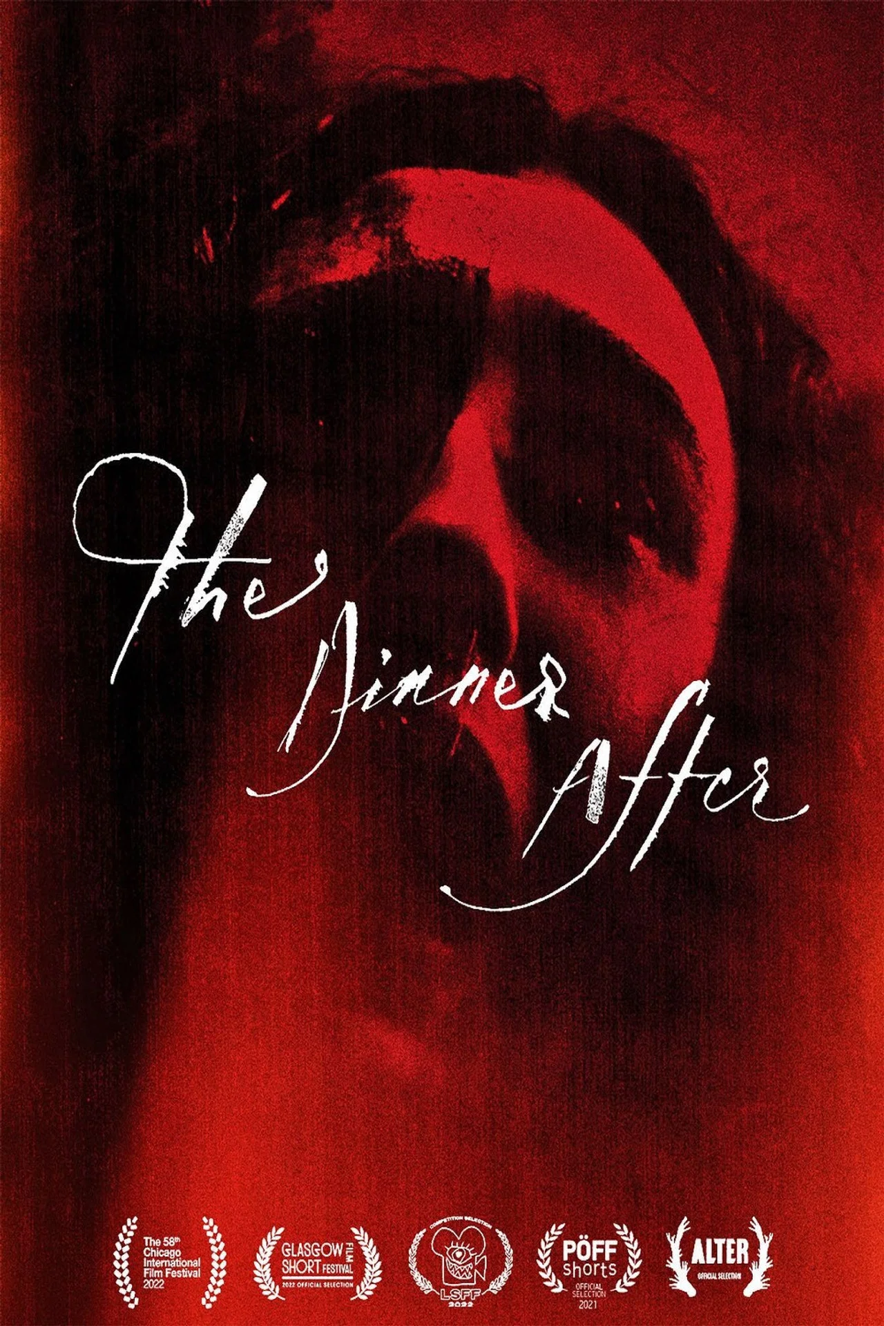 Cover for The Dinner After
