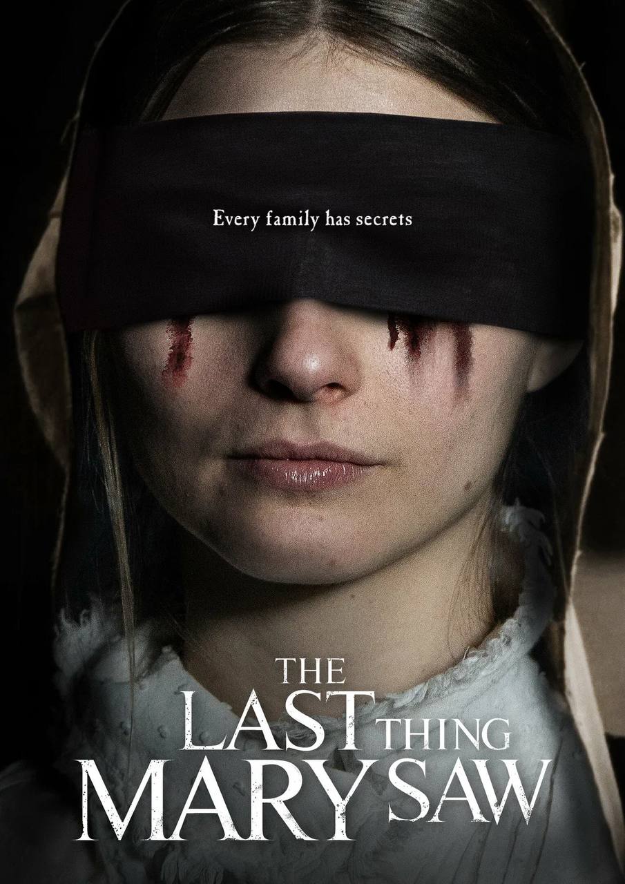 Cover for The Last Thing Mary Saw